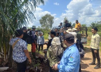 Lahan Warga Terdaftar di HGU Perusahaan, Pemerintah OKI Melakukan Verifikasi Lapangan