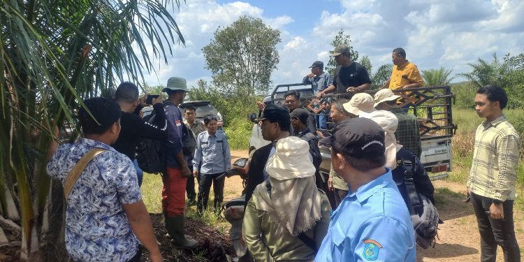 Lahan Warga Terdaftar di HGU Perusahaan, Pemerintah OKI Melakukan Verifikasi Lapangan
