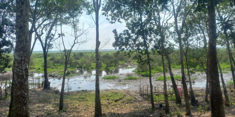 Warga Cinta Jaya Protes, Lahan Belum Diganti Rugi Sudah Dikuasai HGU