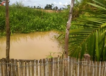 Konflik Lahan di Purwa Asri: Pengemin L3 Kehilangan Tempat Usaha