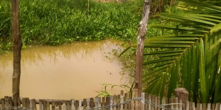 Konflik Lahan di Purwa Asri: Pengemin L3 Kehilangan Tempat Usaha