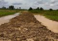 Lahan L3 Diduga Digarap Sawit, Pengemudi di OKI Menyampaikan Protes