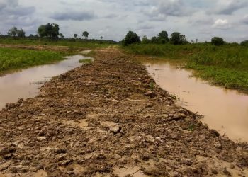 Lahan L3 Diduga Digarap Sawit, Pengemudi di OKI Menyampaikan Protes