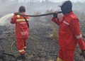 Sumatera Rawan Karhutla, Manggala Agni dan Satgas Terus Lakukan Pemadaman Kebakaran