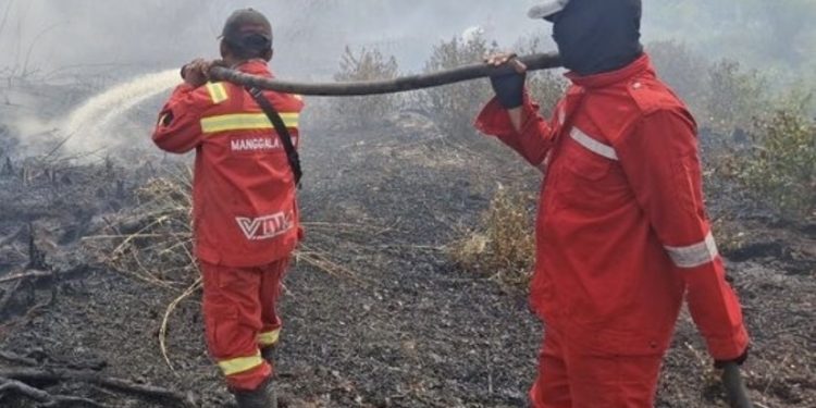 Sumatera Rawan Karhutla, Manggala Agni dan Satgas Terus Lakukan Pemadaman Kebakaran